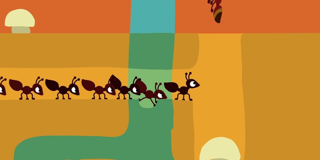 Ant