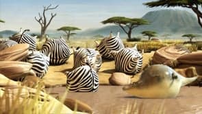 Rollin' Safari
