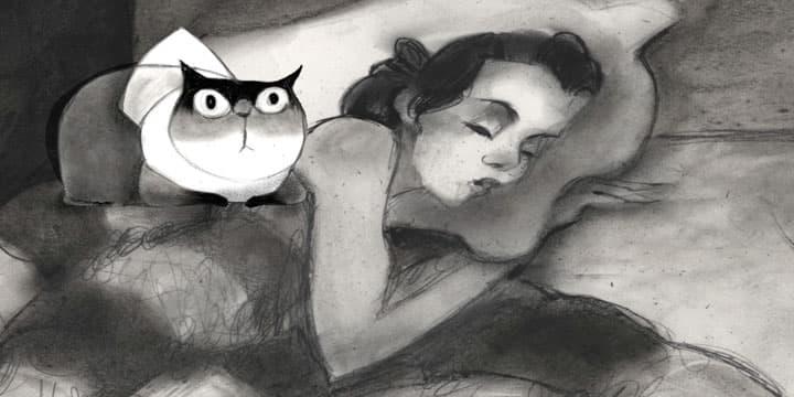 The Cat and the shadow