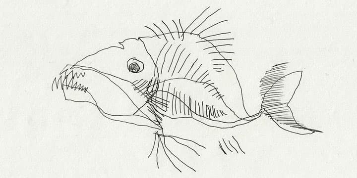Strange fish