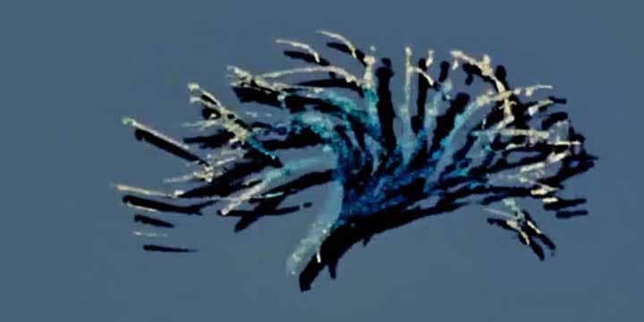 film pour enfants : Danse et chorégraphie