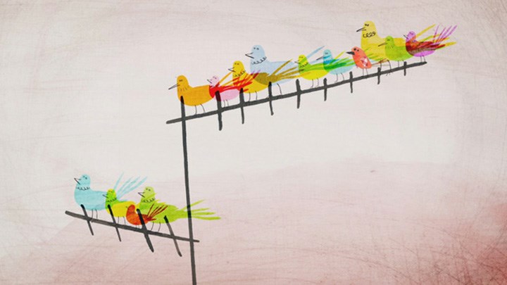 Les petites choses de la vie © Benjamin Gibeaux