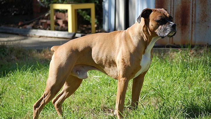 Chien, Brandon. CCO