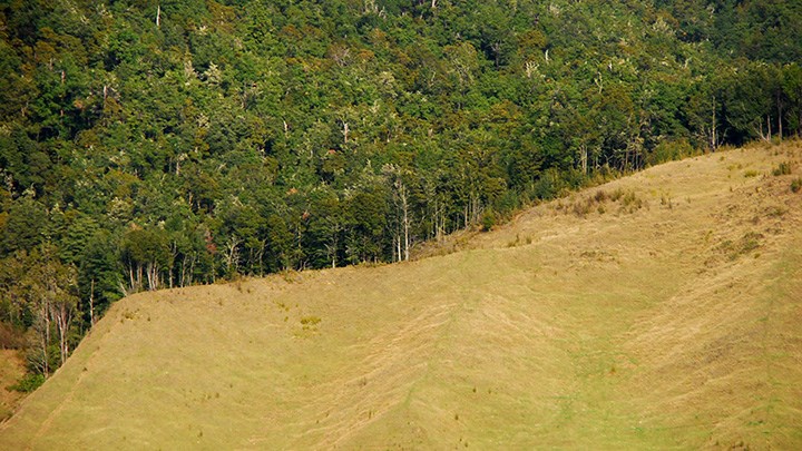 Déforestation, Martin Wegmann. CC0