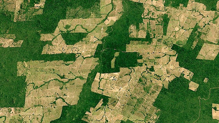 Déforestation © © Google Earth
