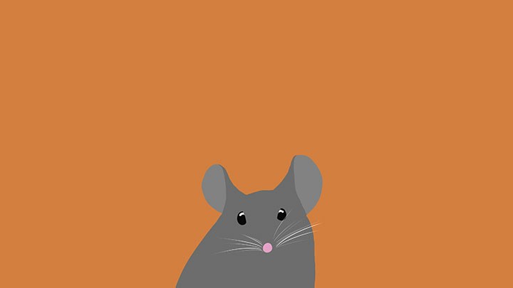 la souris, Olivier Defaye. CC0